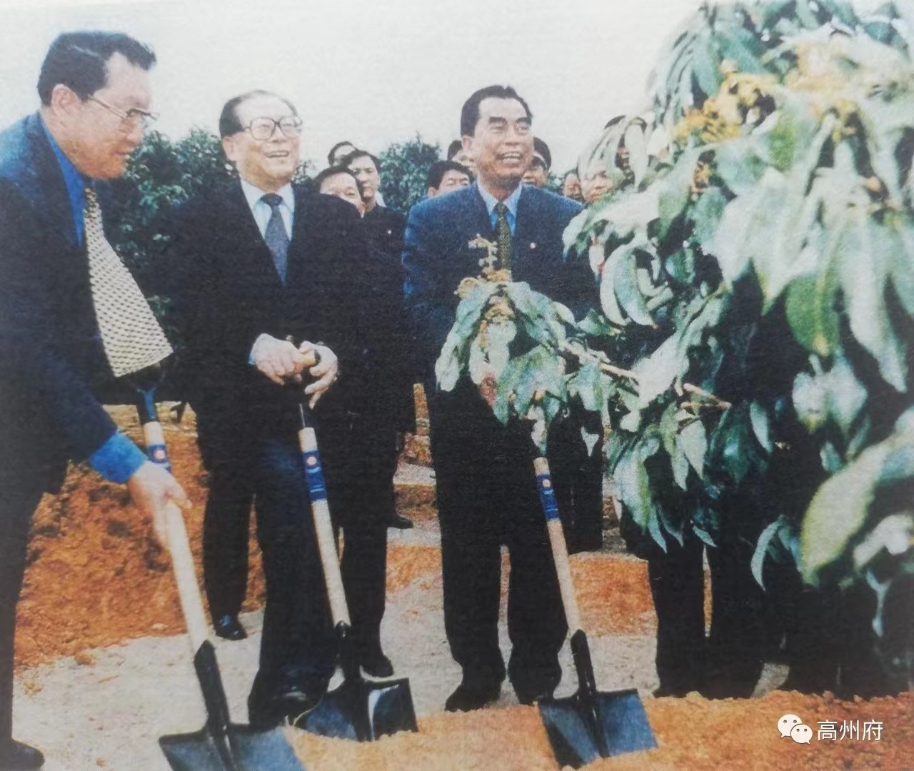 珩祥电保-中国荔枝博物馆乐投线上平台(集团)官方网站用电改造